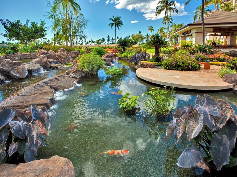 14 Tropical Garden Accents Seen Around Hawaii Villas - Decor Hint Koi Ponds