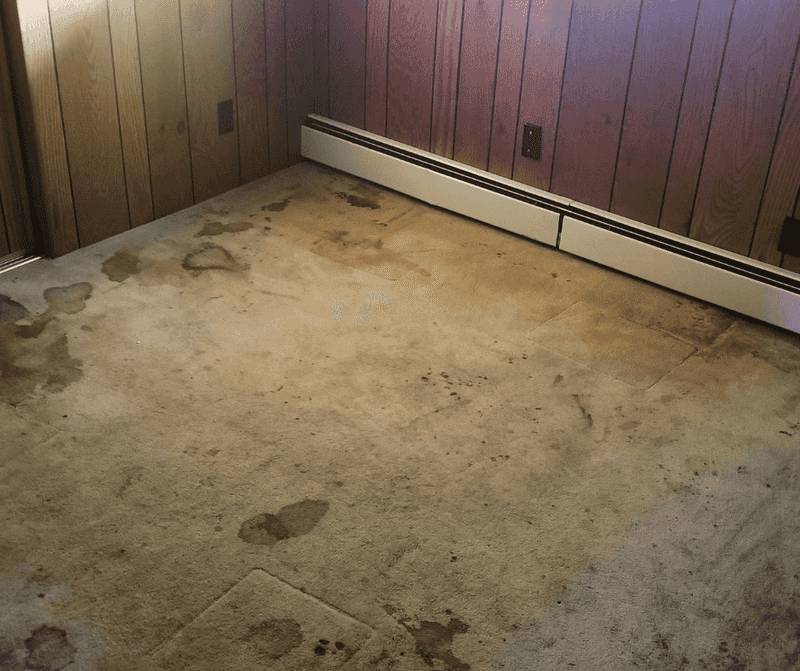 18 Red Flags Home Buyers Notice First About Your House (Plus 4 Deal Breakers) - Decor Hint Dirty or Stained Carpets