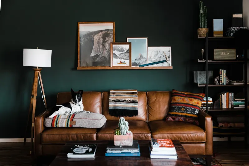 Paint Accent Walls