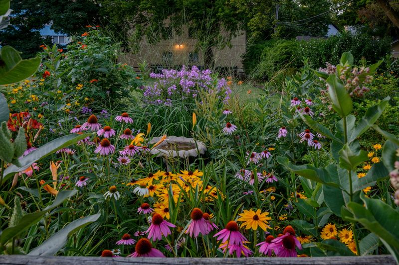 Regenerative Garden Design
