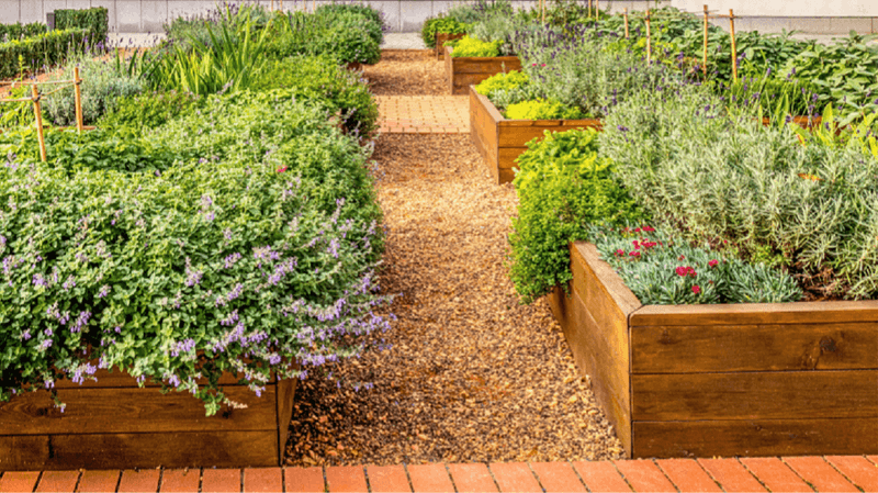 Weekend Warriors Unite: Must-Try Home Projects For Louisiana DIY Fans - Decor Hint Build Raised Garden Beds For Heat-Loving Plants