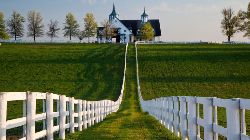 16 Bourbon-Era Mansions In Kentucky That Crumbled Through The Ages - Decor Hint Meadowthorpe Estate – Lexington