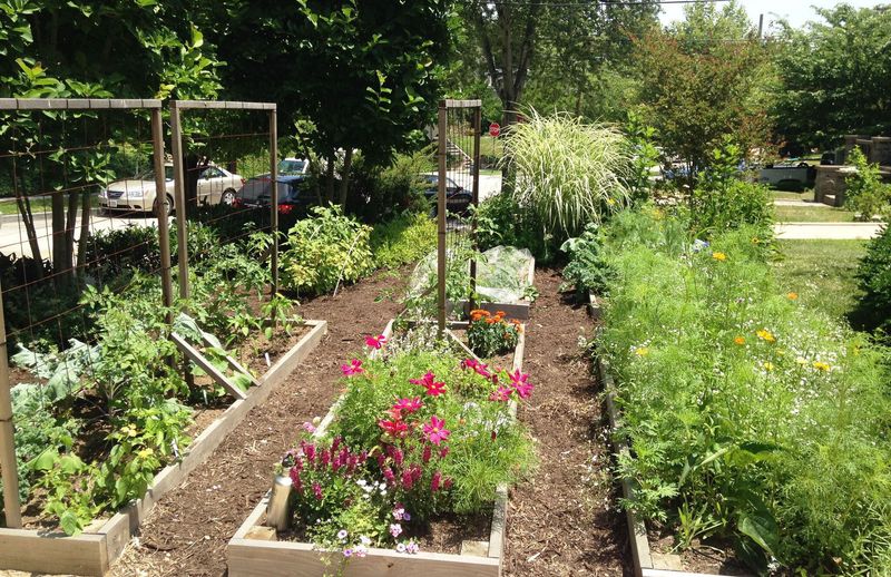 These 10 Front Yard And Patio Looks Are Big In Washington DC Right Now - Decor Hint Edible Landscaping