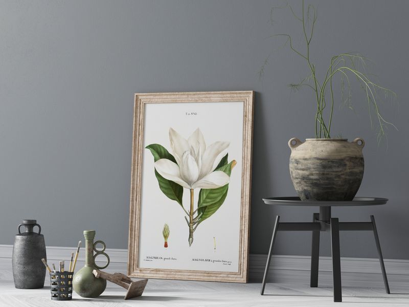 10 Southern Decorating Touches That Define Georgia Living Spaces - Decor Hint Botanical Prints And Garden-Inspired Art