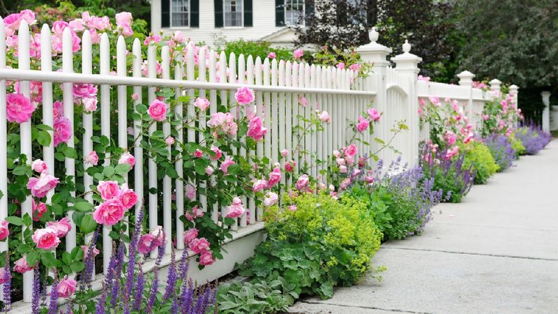 11 Country-Inspired Curb Appeal Ideas From Kentucky Homes - Decor Hint Picket Fences with Climbing Roses