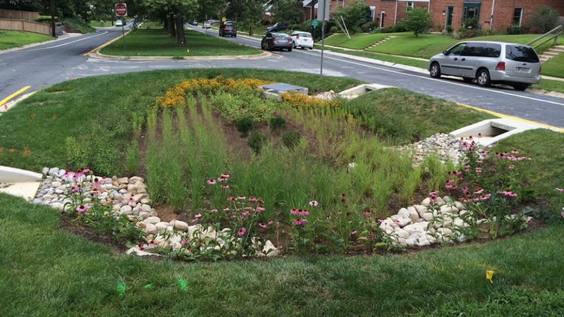 25 Home Features That Are Surprisingly Illegal In Some States - Decor Hint Rain Gardens Affecting Water Runoff