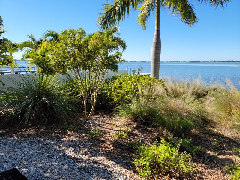 3 Coastal Curb Appeal Mistakes To Avoid Plus 6 Florida Designs That Shine - Decor Hint Planting Non-Native Landscaping