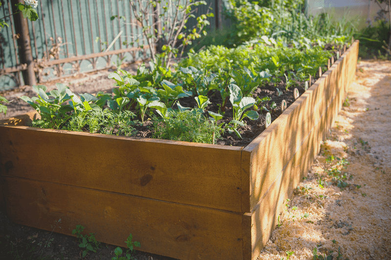 Popular Weekend Projects For Idaho Homeowners Who Love DIY - Decor Hint Build Raised Garden Beds That Thrive In Idaho's Climate