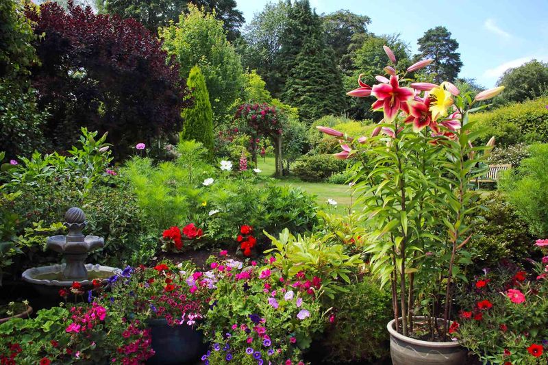 6 Features Buyers Are Starting To Avoid In Oceanside Homes And 3 They've Always Stayed Away From - Decor Hint High-Maintenance Landscaping