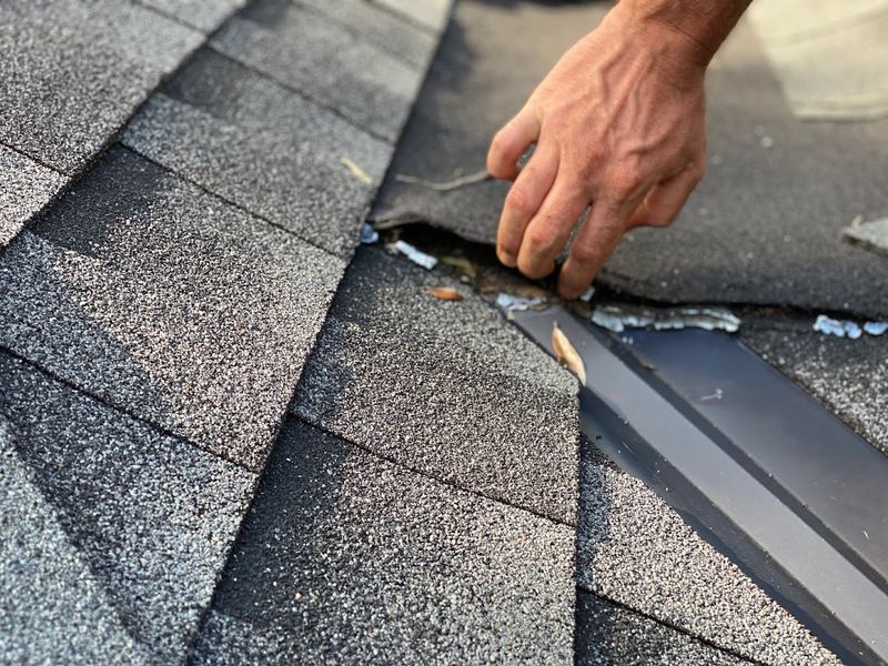 Inspecting Roof Shingles (Don't Ignore)