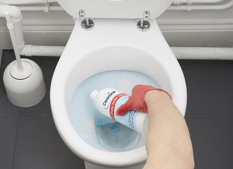 How To Fake A Deep Clean 10 Visual Tricks And 7 Spotless Secrets That Impress Guests - Decor Hint Wipe Down the Toilet Rim (Spotless Secret)