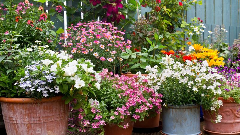 Selling Your Home? 8 Features To Change Fast And 5 Extras That Could Cost You Buyers - Decor Hint Excessive Landscaping Maintenance