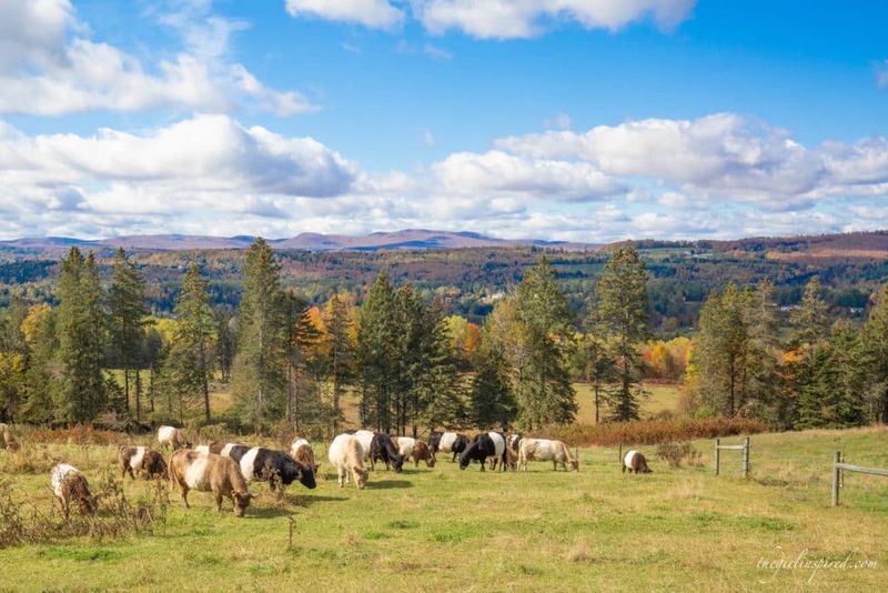 Vermont's Hidden Gem 14 Remarkable Details Of A 1898 Stone Colonial Revival On Expansive Land - Decor Hint Expansive Meadow Views