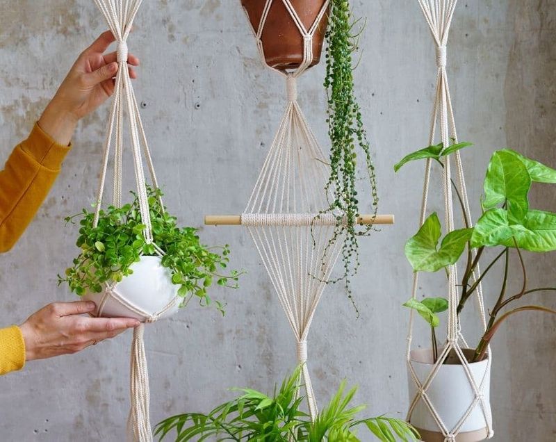 Simple Weekend DIY Ideas Catching On In Illinois - Decor Hint Macramé Plant Hangers