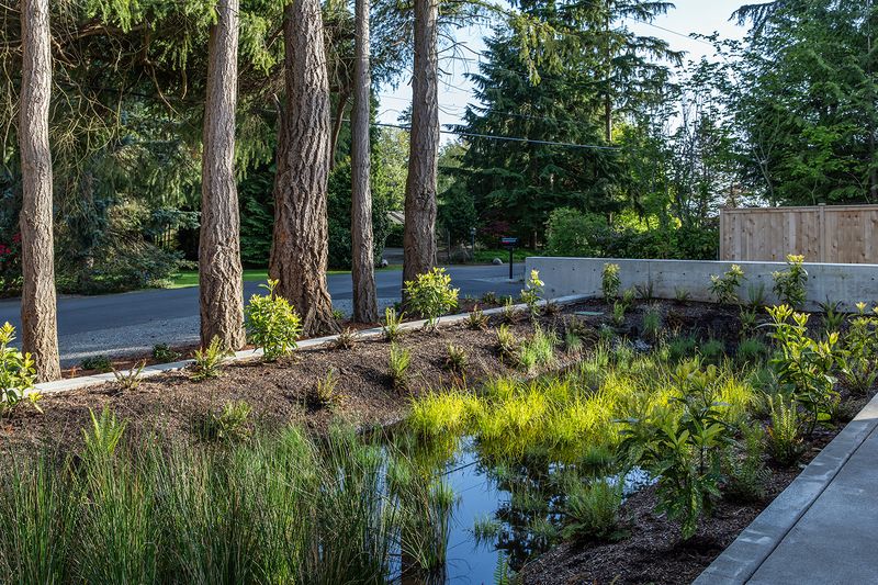 The Look Of Washington 10 Beloved Outdoor Trends And 4 That Truly Impress - Decor Hint Rain-Friendly Drainage Design