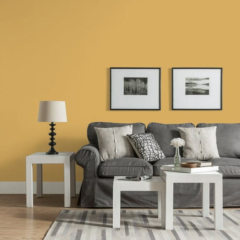 15 Retro Paint Shades Designers Are Loving Again - Decor Hint Butterscotch