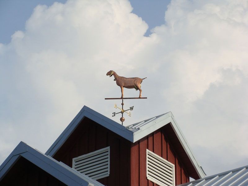 Weathervanes and Cupolas