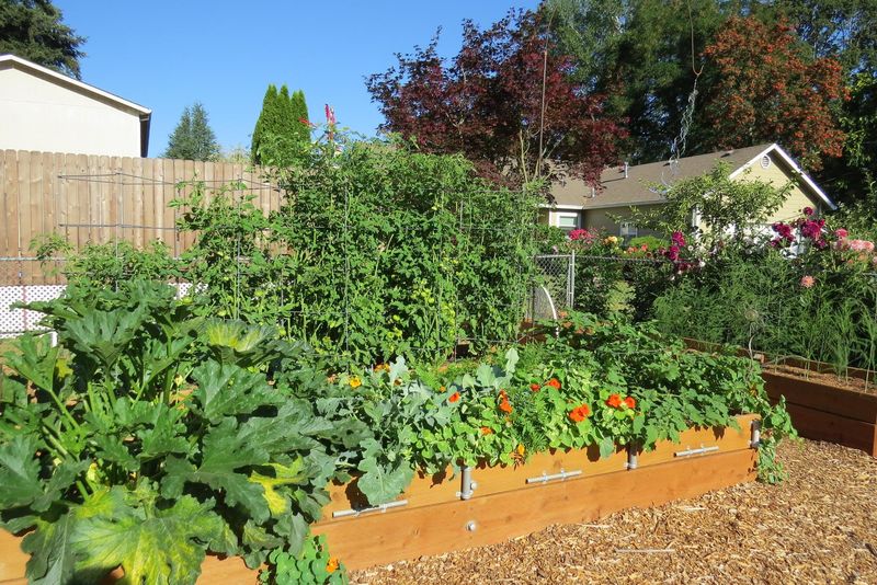 The Look Of Washington 10 Beloved Outdoor Trends And 4 That Truly Impress - Decor Hint Sustainable Garden Beds