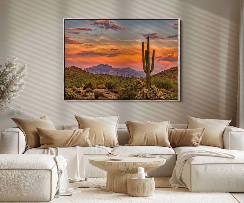 Desert-Inspired Art And Photography