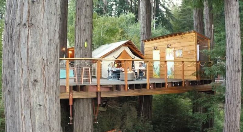 Floating A-Frame in California's Redwoods