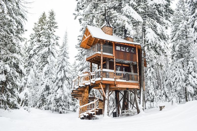 Montana's Glacier View Treehouse at Whitefish Mountain