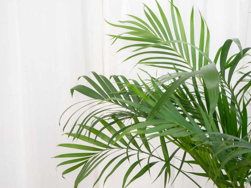 7 Tropical Decor Trends Losing Value In Naples Homes (And 3 That Still Shine) - Decor Hint Faux Tropical Plants
