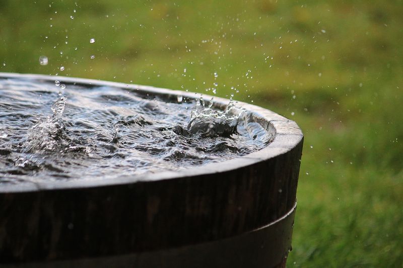 25 Home Features That Are Surprisingly Illegal In Some States - Decor Hint Rainwater Collection Systems