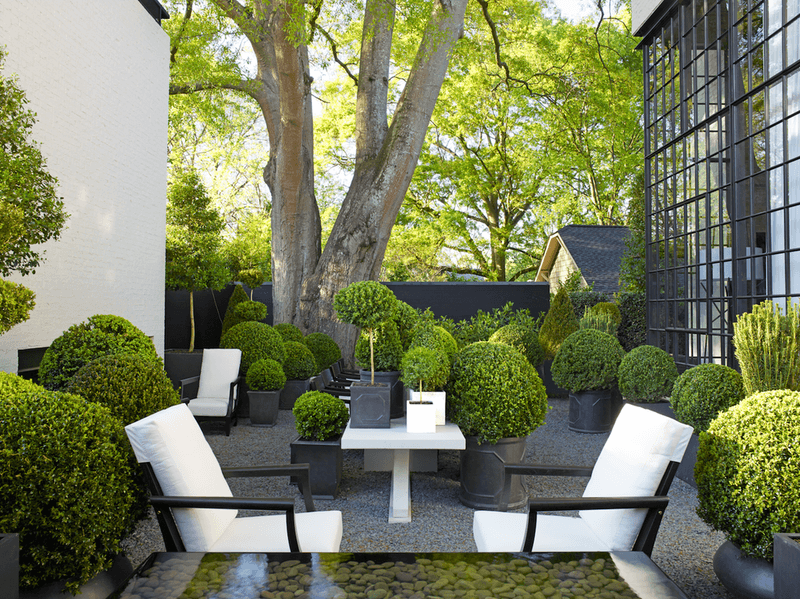 Sculpted Shrubs