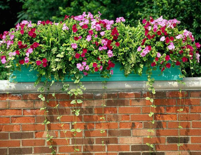 11 Bold Brick Curb Appeal Moves From Georgia Bungalows - Decor Hint Colorful Planters And Window Boxes Against Brick