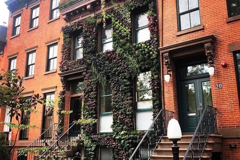 Vertical Gardens That Climb Skyward