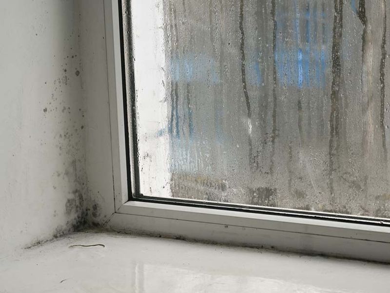 18 Things Appraisers Look For That Most Homeowners Miss - Decor Hint Window Functionality And Efficiency