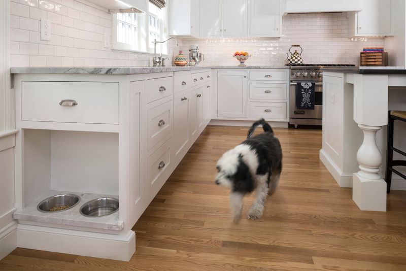 Creature Comforts: How Pets Are Influencing Home Design Trends - Decor Hint Feeding Stations That Elevate Decor