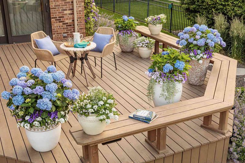 7 Common Porch Eyesores According To Designers And 6 Beautiful Alternatives - Decor Hint Potted Flowers (Beautiful Alternative)