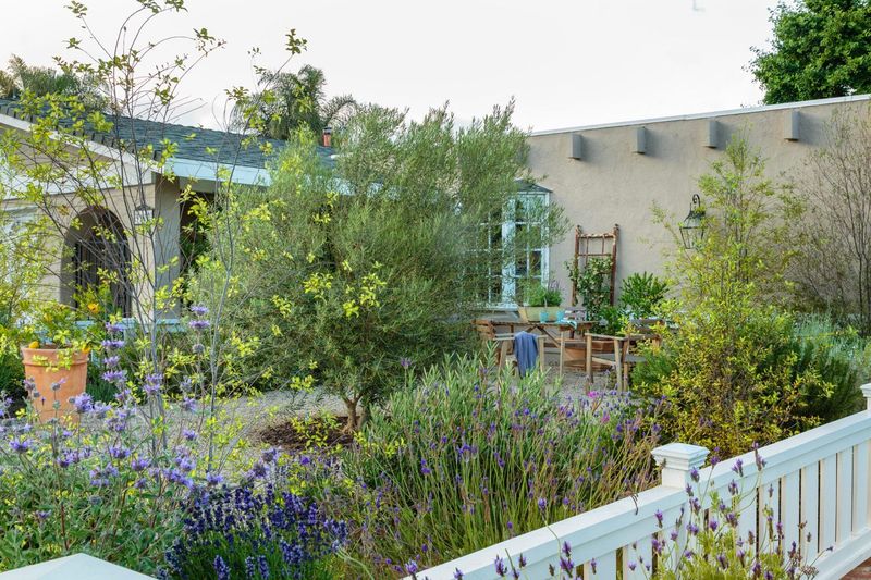 12 Coastal-Inspired Curb Appeal Ideas Seen In California Homes (And 3 That Are Losing Charm Fast) - Decor Hint Coastal Cottage Gardens