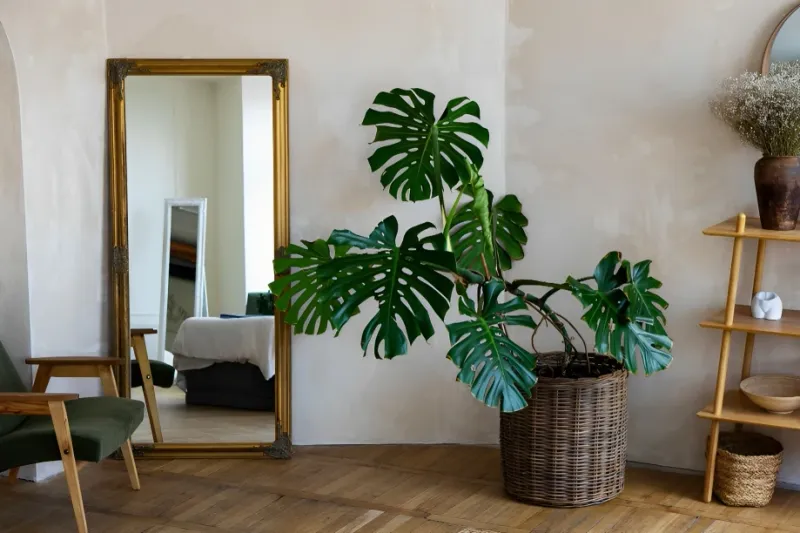 Affordable Home Upgrades That Make Your Space Feel Pricier - Decor Hint Strategic Mirror Placement