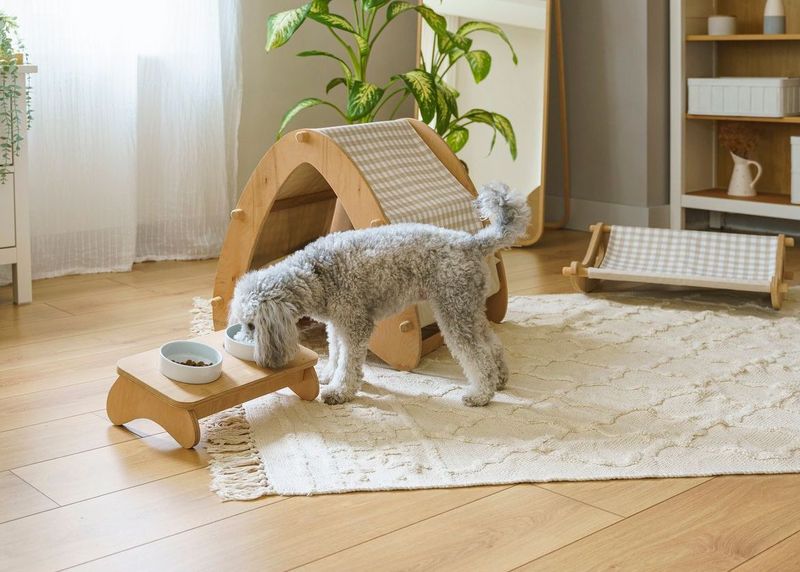 12 Interior Decor Eyesores And How To Hide Them - Decor Hint Pet Supply Clutter