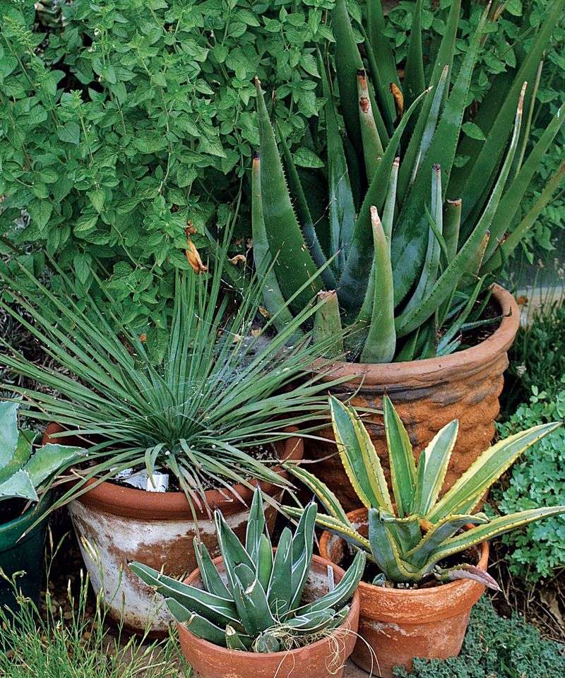 Add Outdoor Planters