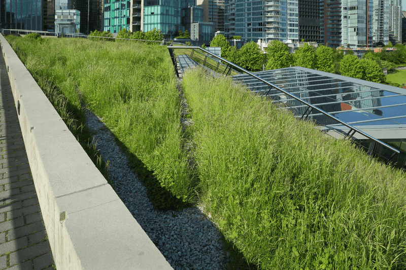 By Late 2025, Expect These 12 Sleek Outdoor Trends From Chicago Condos To Go Big - Decor Hint Modular Green Roof Systems