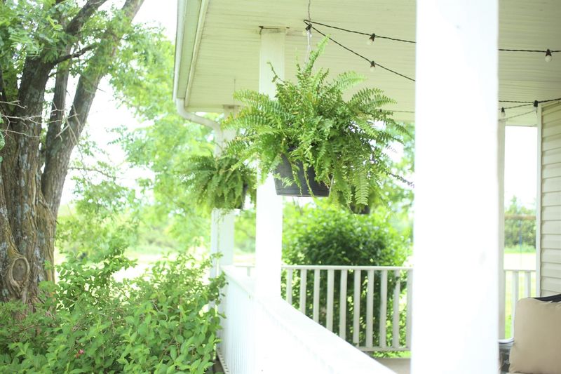 Charming Outdoor Corners That Give Georgia Homes Their Magic - Decor Hint Hanging Ferns on Wraparound Verandas