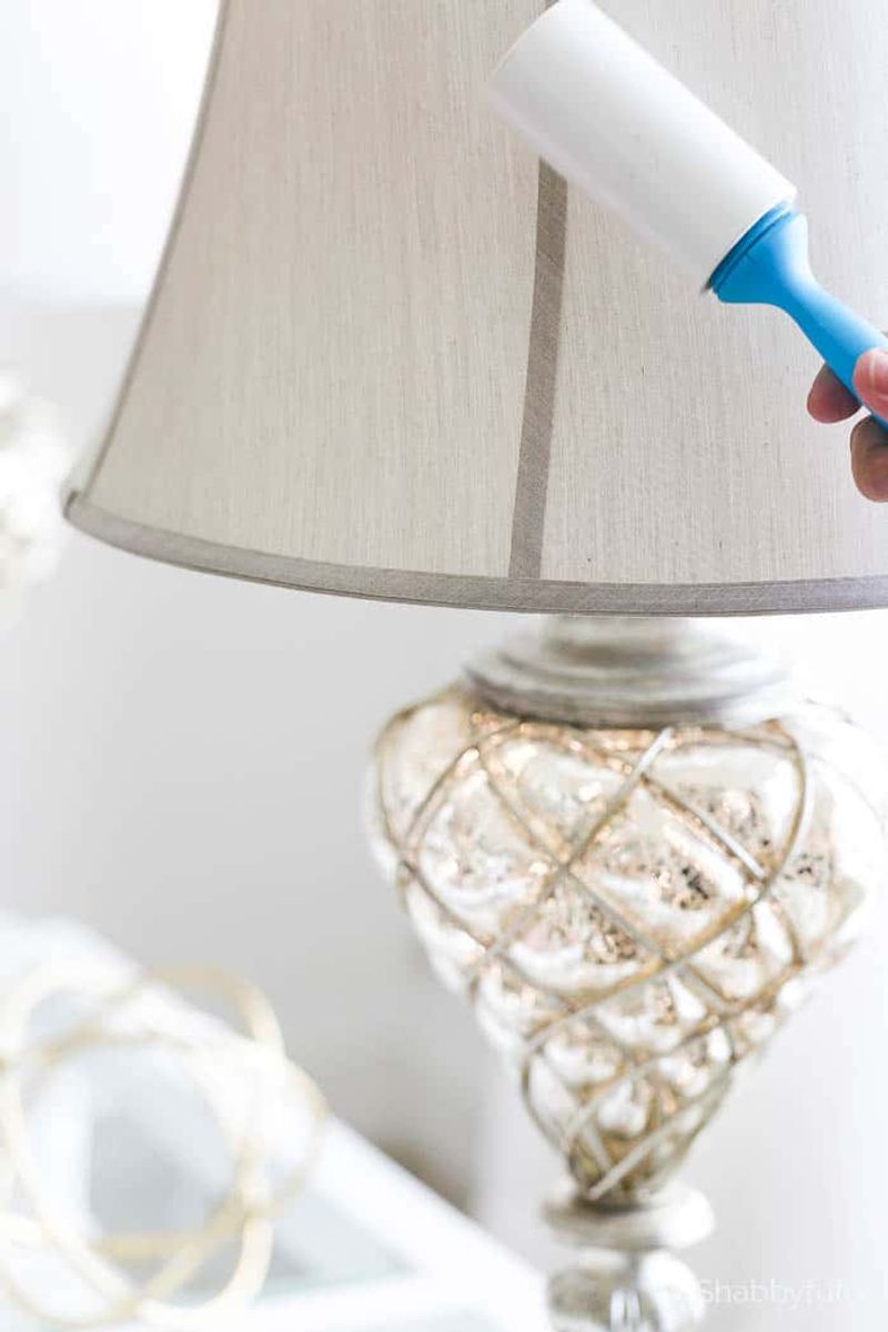 How To Fake A Deep Clean 10 Visual Tricks And 7 Spotless Secrets That Impress Guests - Decor Hint Dust with a Lint Roller (Spotless Secret)