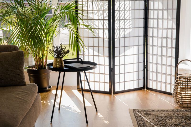 Broken Folding Room Dividers Completely Unmarketable