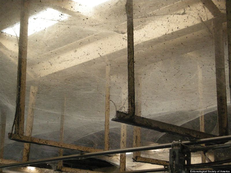 16 Photos Frozen In Time Of A 300-Year-Old Weavers' House - Decor Hint Cobweb Corner