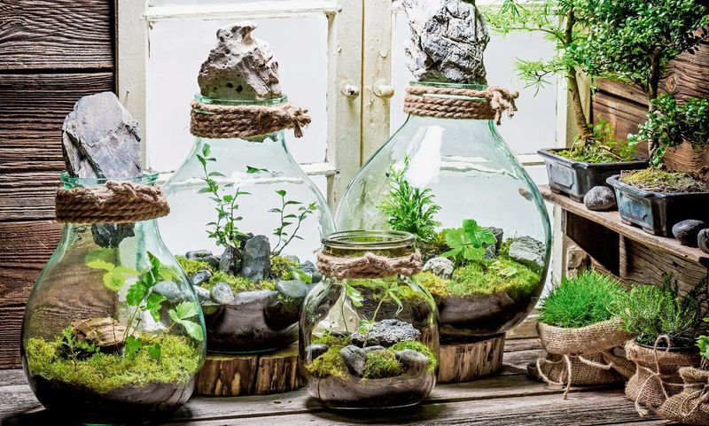 Brooklyn Style Alert 7 Decor Pieces On Their Way Out In 2026 And 7 That Should've Gone Last Year - Decor Hint Succulent Terrariums