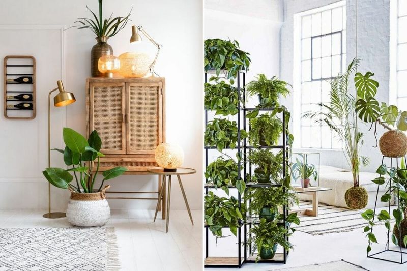 Minimalist Interior Trends Dominating Seattle Apartments - Decor Hint Vertical Gardens And Statement Plants