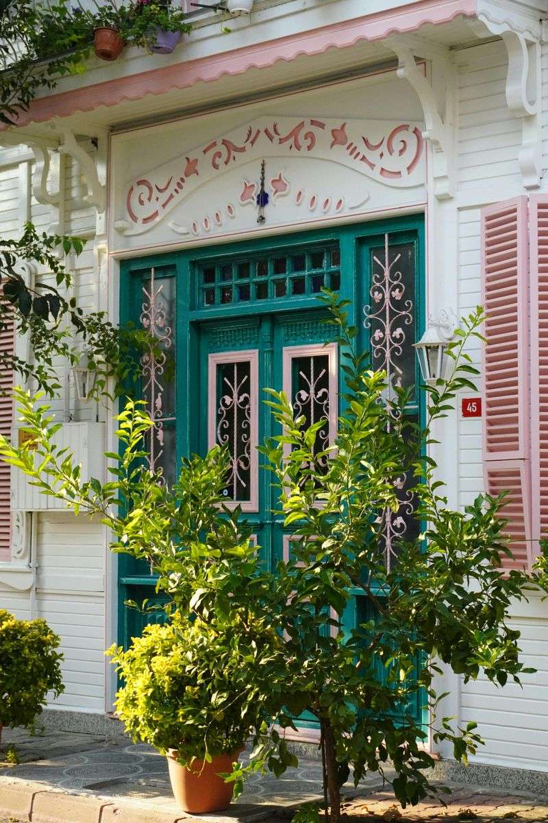 Freshly Painted Front Door