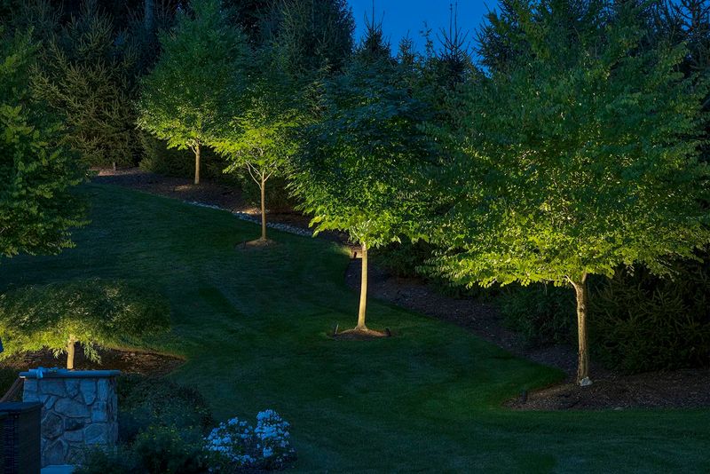 23 Gorgeous Garden Lighting Ideas To Transform Your Space - Decor Hint Up-Lighting