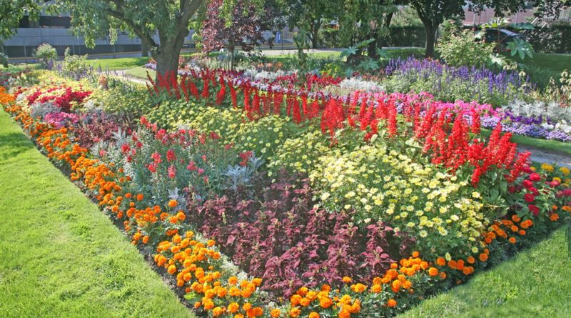 20 Things You Should Not Waste Money On For An Outdoor Space, According To Exterior Designers - Decor Hint Annual-Only Flower Beds