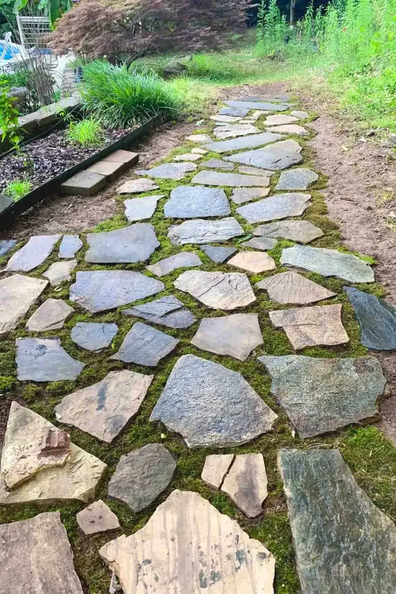 21 Innovative Walkway Designs That Will Spice Up Your Backyard - Decor Hint Flagstone with Groundcover