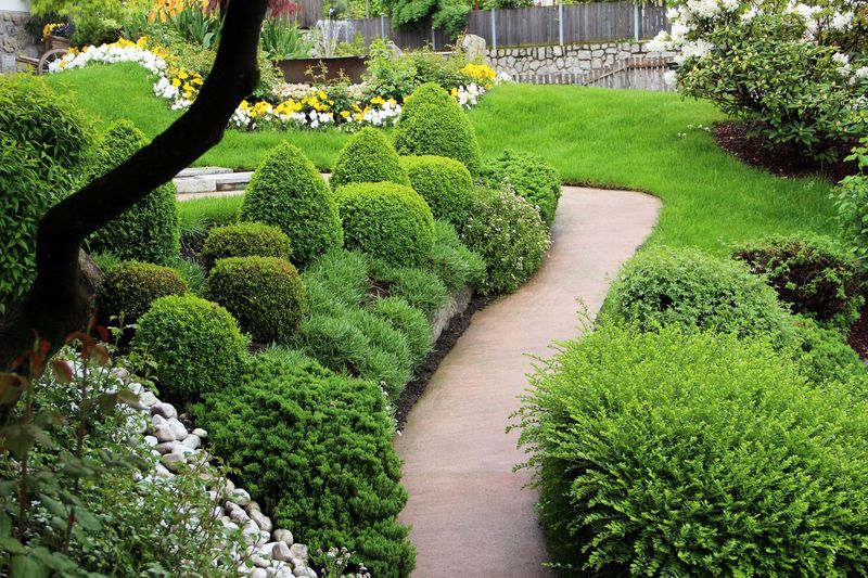 Evergreen Foundation Plantings