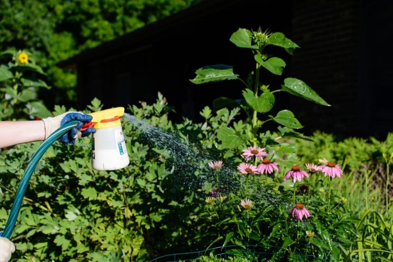 21 Landscaping Features That Are Really Annoying Your Neighbors, Real Estate Pros Say - Decor Hint Chemical Overspray